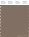 PANTONE SMART 17-0909X Color Swatch Card, Fossil