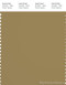 PANTONE SMART 17-0929X Color Swatch Card, Olive Green