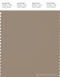 PANTONE SMART 17-1009X Color Swatch Card, Dune