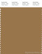 PANTONE SMART 17-1036X Color Swatch Card, Bistre