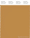 PANTONE SMART 17-1040X Color Swatch Card, Spruce Yellow