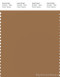 PANTONE SMART 17-1044X Color Swatch Card, Chipmunk