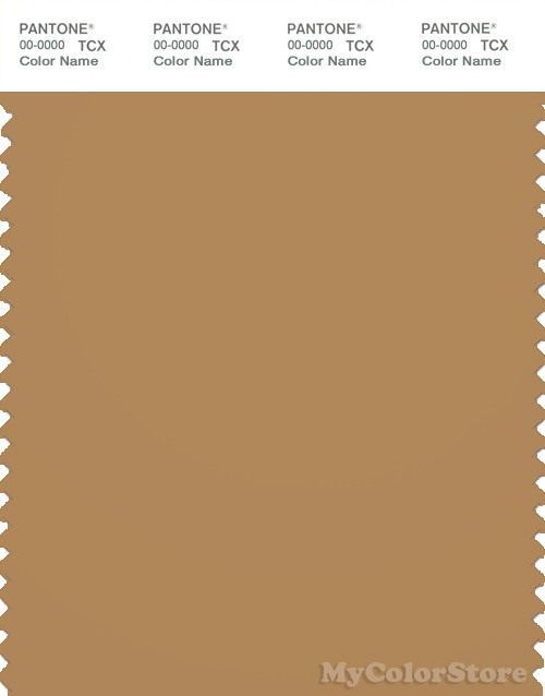 PANTONE SMART 17-1045X Color Swatch Card, Apple Cinnamon