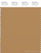 PANTONE SMART 17-1045X Color Swatch Card, Apple Cinnamon