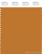 PANTONE SMART 17-1046X Color Swatch Card, Golden Oak