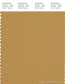 PANTONE SMART 17-1047X Color Swatch Card, Honey Mustard