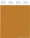 PANTONE SMART 17-1048X Color Swatch Card, Inca Gold