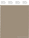 PANTONE SMART 17-1109X Color Swatch Card, Chinchilla