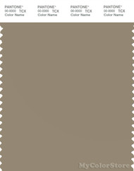 PANTONE SMART 17-1113X Color Swatch Card, Coriander