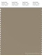 PANTONE SMART 17-1113X Color Swatch Card, Coriander