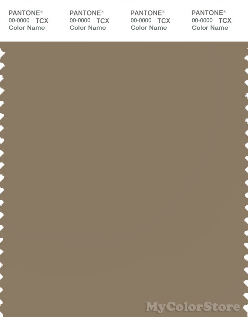 PANTONE SMART 17-1118X Color Swatch Card, Lead Gray