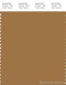 PANTONE SMART 17-1128X Color Swatch Card, Bone Brown