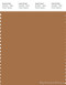 PANTONE SMART 17-1137X Color Swatch Card, Cashew
