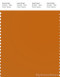 PANTONE SMART 17-1140X Color Swatch Card, Marmalade