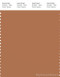 PANTONE SMART 17-1143X Color Swatch Card, Hazel