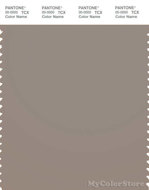 PANTONE SMART 17-1210X Color Swatch Card, Moon Rock