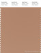 PANTONE SMART 17-1224X Color Swatch Card, Camel