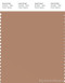 PANTONE SMART 17-1225X Color Swatch Card, Tawny Birch