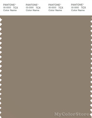 PANTONE SMART 17-1310X Color Swatch Card, Timber Wolf