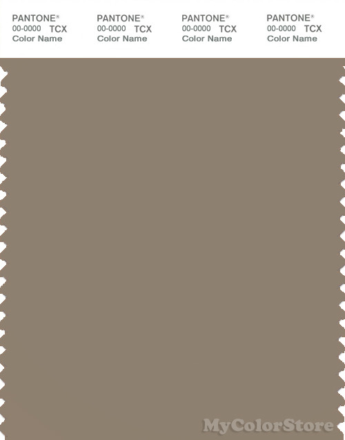 PANTONE SMART 17-1310X Color Swatch Card, Timber Wolf