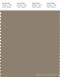 PANTONE SMART 17-1310X Color Swatch Card, Timber Wolf