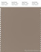 PANTONE SMART 17-1311X Color Swatch Card, Desert Taupe