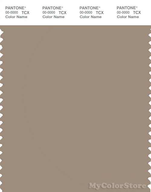 PANTONE SMART 17-1312X Color Swatch Card, Silver Mink