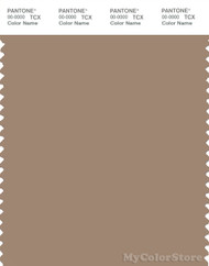PANTONE SMART 17-1319X Color Swatch Card, Olivesheen