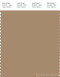 PANTONE SMART 17-1320X Color Swatch Card, Tannin