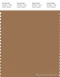 PANTONE SMART 17-1327X Color Swatch Card, Tobacco Brown