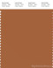 PANTONE SMART 17-1340X Color Swatch Card, Adobe