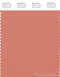 PANTONE SMART 17-1341X Color Swatch Card, Tawny Orange