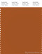 PANTONE SMART 17-1342X Color Swatch Card, Autumnal