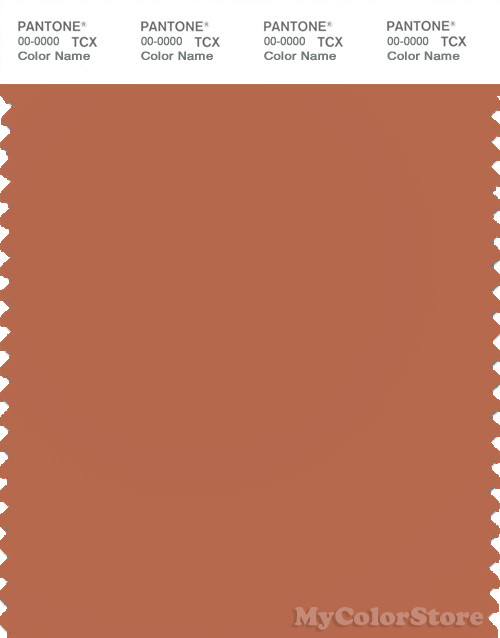 PANTONE SMART 17-1347X Color Swatch Card, Autumn Leaf