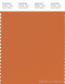 PANTONE SMART 17-1353X Color Swatch Card, Apricot Orange