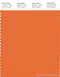 PANTONE SMART 17-1360X Color Swatch Card, Celosia Orange