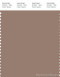 PANTONE SMART 17-1418X Color Swatch Card, Ginger Snap