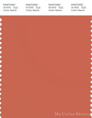 PANTONE SMART 17-1444X Color Swatch Card, Ginger