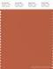 PANTONE SMART 17-1446X Color Swatch Card, Mango