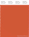 PANTONE SMART 17-1452X Color Swatch Card, Koi