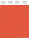 PANTONE SMART 17-1456X Color Swatch Card, Tigerlily