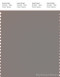 PANTONE SMART 17-1500X Color Swatch Card, Steeple Gray