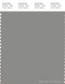 PANTONE SMART 17-1501X Color Swatch Card, Wild Dove