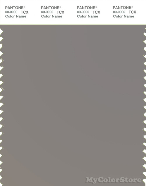PANTONE SMART 17-1502X Color Swatch Card, Medium Gray