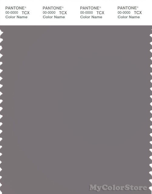 PANTONE SMART 17-1503X Color Swatch Card, Storm Front