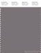 PANTONE SMART 17-1503X Color Swatch Card, Storm Front