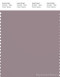 PANTONE SMART 17-1505X Color Swatch Card, Quail