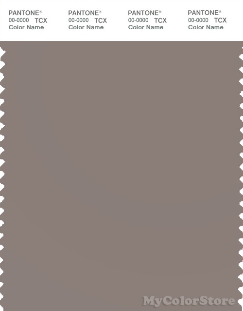 PANTONE SMART 17-1506X Color Swatch Card, Cinder