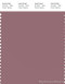 PANTONE SMART 17-1511X Color Swatch Card, Rose Gray