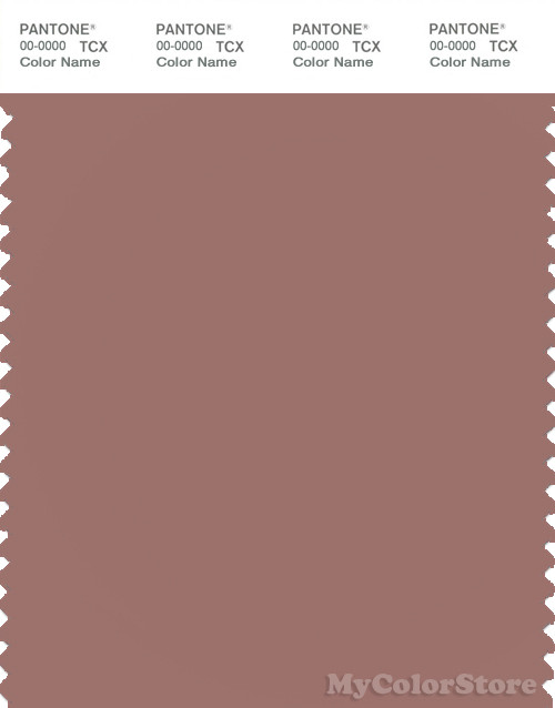 PANTONE SMART 17-1516X Color Swatch Card, Burlwood